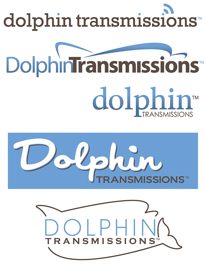 Dolphin Transmissions Logo